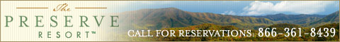 banner ad