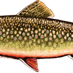 Smokey Mountain Wood Carving