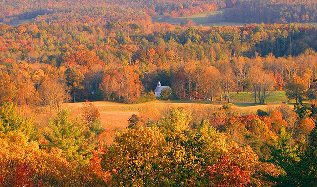 Mid-October Fall Color Report