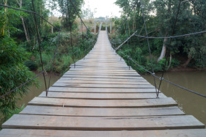 swinging bridge in Townsend TN