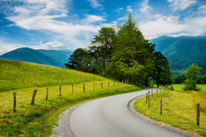 Scenic road in Cades Cove