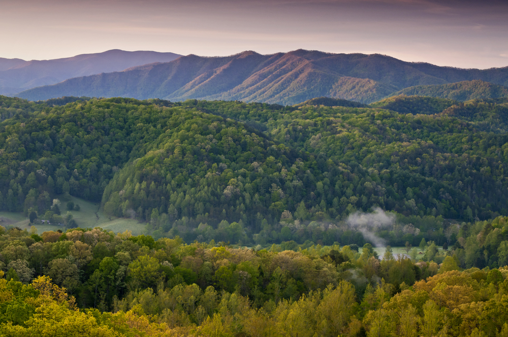 Overview of quiet Townsend TN